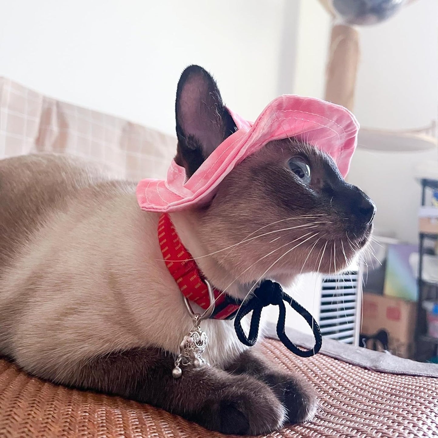 Adjustable Pet Sun Hat – Exposed-Ear Fisherman Cap with Rope Buckle for Puppies, Cats, and Small Dogs