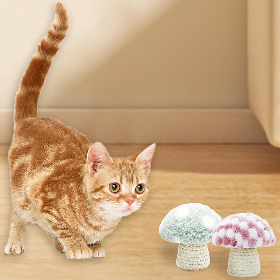 Catnip Plush Toys – Adorable Mushroom-Shaped Cat Toy for Adult Indoor Cats, Built-In Sound Stone Chew Toy for Dental Cleaning, Interactive Play for Boredom Relief