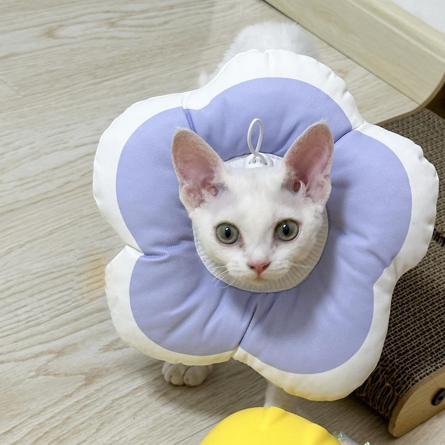 Adorable Flower Pet Cone – Soft, Splash-Resistant Recovery E-Collar for Post-Surgery Cats, Comfy Anti-Lick Neck Pillow, Donut-Style Collar for Kittens & Puppies, Perfect for Cute Photos