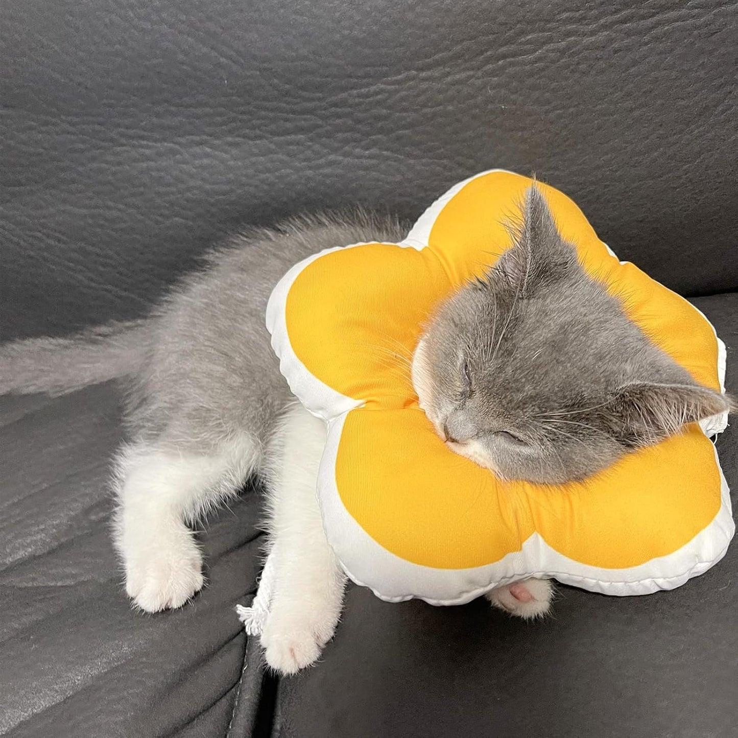 Adorable Flower Pet Cone – Soft, Splash-Resistant Recovery E-Collar for Post-Surgery Cats, Comfy Anti-Lick Neck Pillow, Donut-Style Collar for Kittens & Puppies, Perfect for Cute Photos